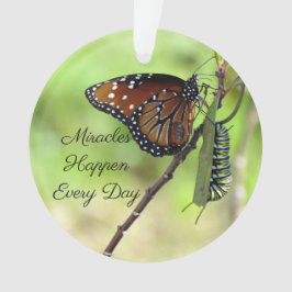 Wunder - Schmetterling / Raupe Akryllisch Ornament
