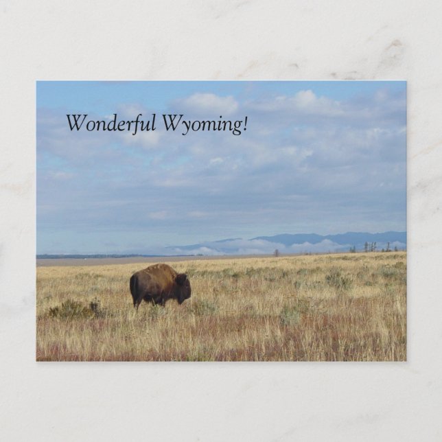 Wunderbar Wyoming! Postkarte (Vorderseite)
