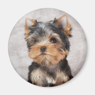Wunderbar Yorkie Magnet