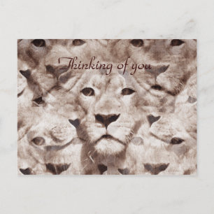 Wunderbare Augen_ Postkarte