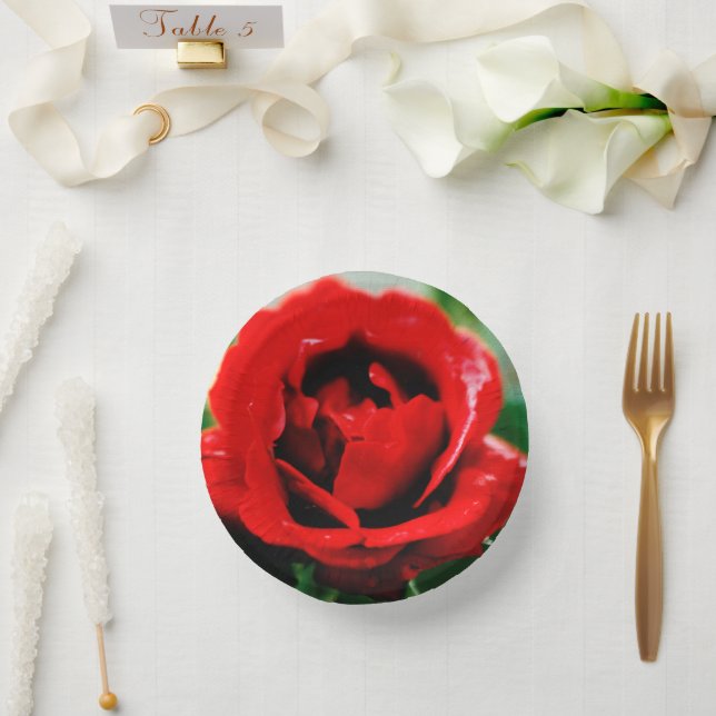 Wunderbare Rote Rose Liebe Pappteller (Hochzeit)