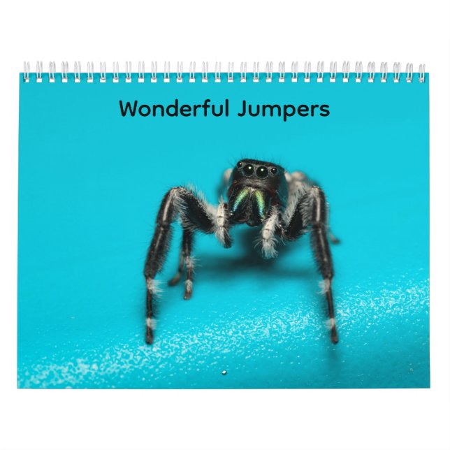 Wunderbare Springer Kalender (Titelbild)