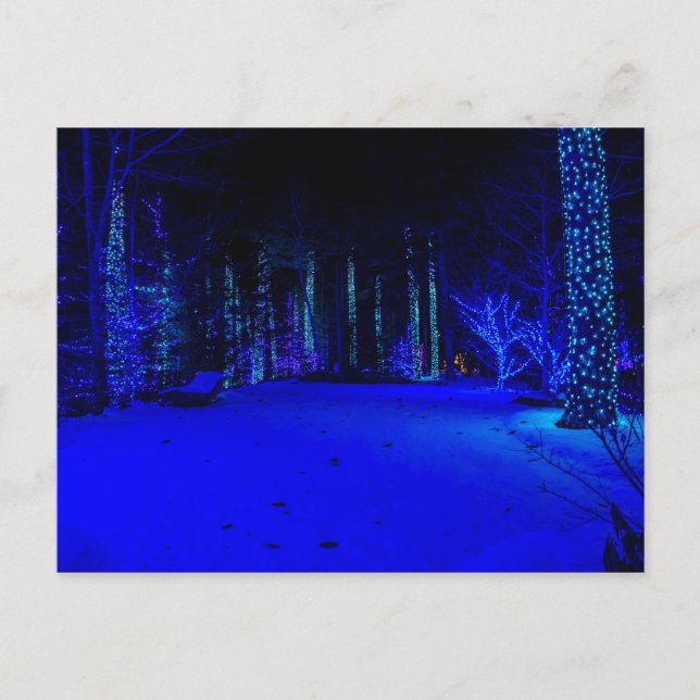 Wunderbare Weihnachtszeit Postkarte (Vorderseite)