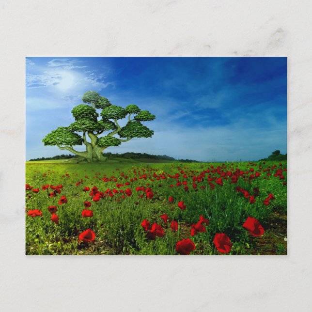Wunderbare Welt Postkarte (Vorderseite)