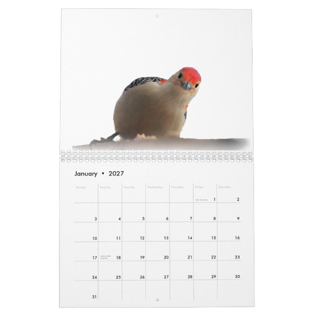 Wunderbare Welt von Spechten 2015 Kalender (Jan 2027)