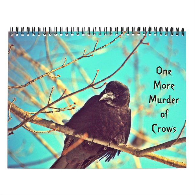 Wunderbarer Krähen-Fotografie-Kalender Kalender (Titelbild)