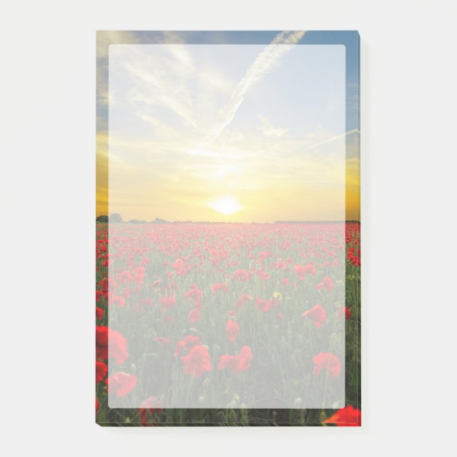 Wunderbarer Mohnfeld-Sonnenuntergang Post-it Klebezettel (Vorderseite)