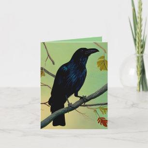 Wunderbarer Spaß raven auf dem Zweig Karte