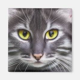Wunderbares Katzenportrait Magnet