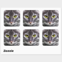 Wunderbares Katzenportrait
