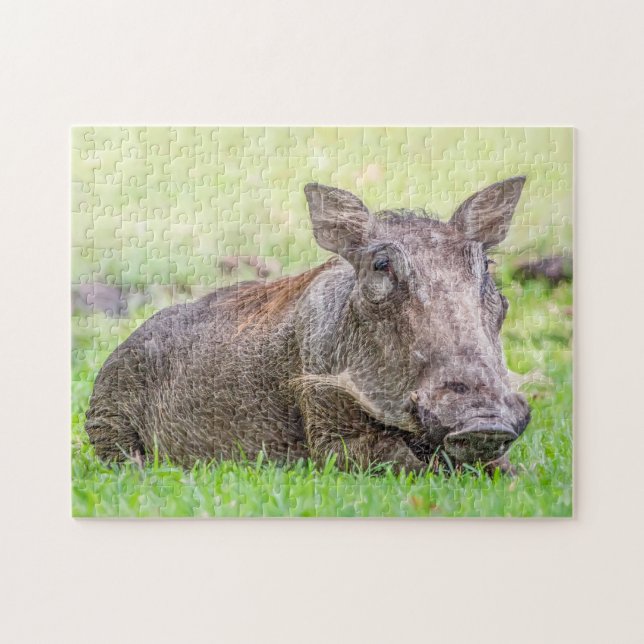 Wunderbares Warthog Puzzlespiel (Horizontal)
