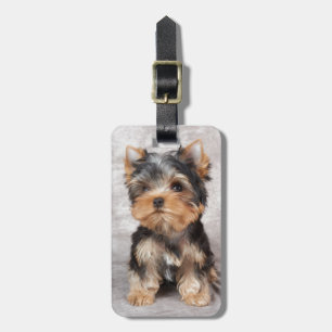 Wunderbares yorkie gepäckanhänger