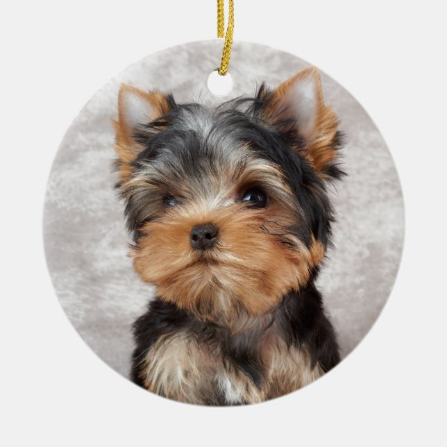 Wunderbares yorkie keramikornament (Vorne)