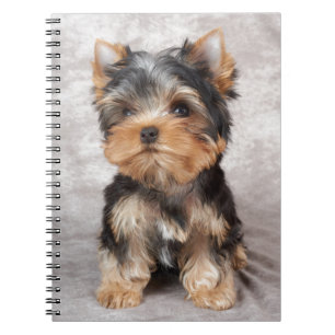 Wunderbares yorkie notizblock