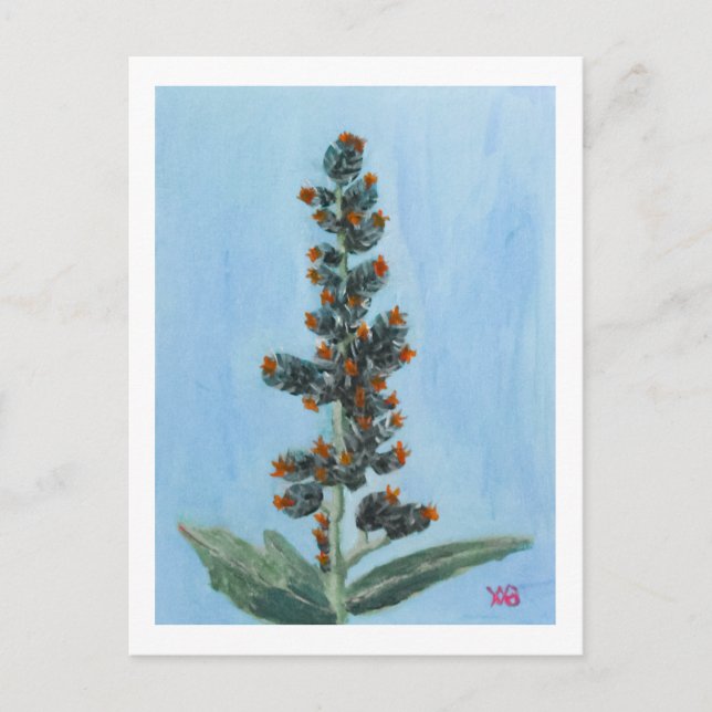 Wunderbaum Postkarte (Vorderseite)