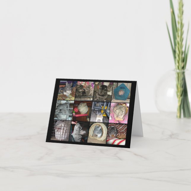 Wunderchins 2012 carte pour notes (Devant)