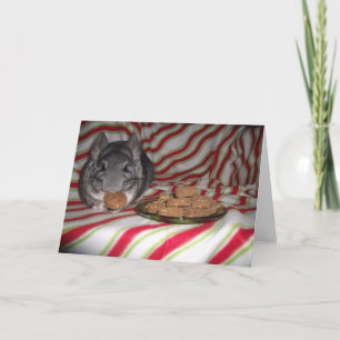 Wunderchins-Urlaubskarte 2012 Feiertagskarte