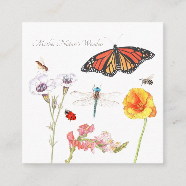 Wunderkarte der Mutter Natur Begleitkarte (Vorderseite)