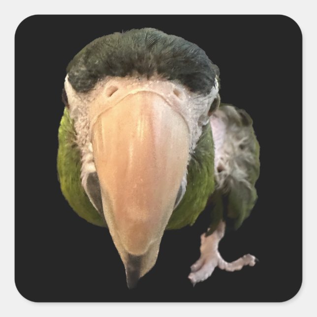 Wunderkitzel-Super-Aufkleber Quadratischer Aufkleber (Vorderseite)