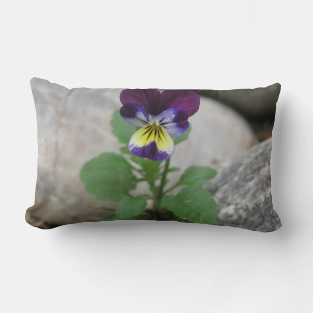 Wunderliches Pansy Lumbarkissen Lendenkissen (Vorderseite)