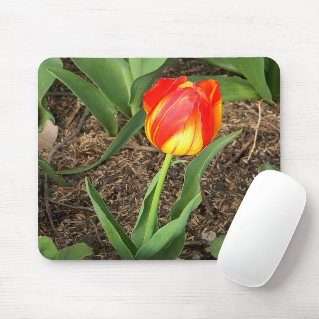 Wunderschön im Frühling...... Mousepad (Mit Mouse)