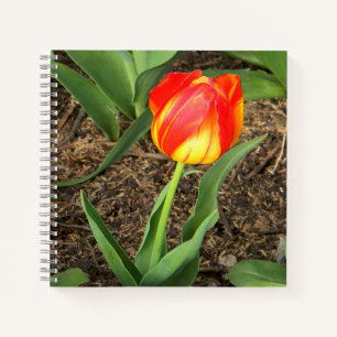 Wunderschön im Frühling.... Notizbuch