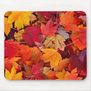 Wunderschöne Ahornbäume-Blätter Mousepad
