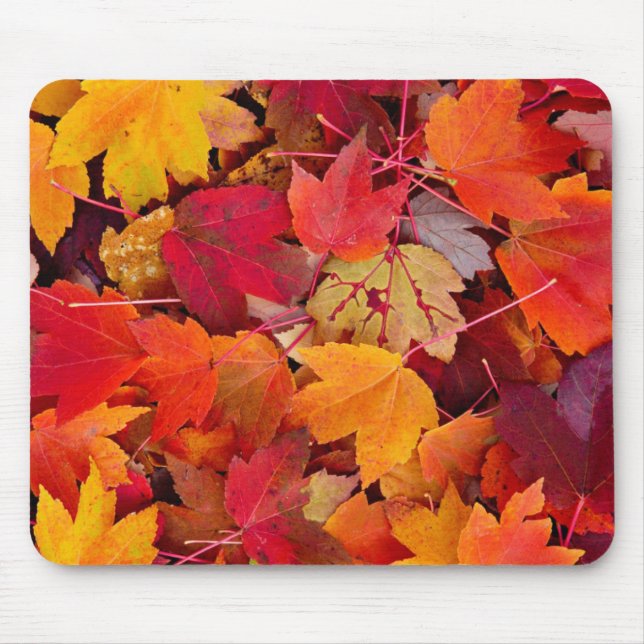 Wunderschöne Ahornbäume-Blätter Mousepad (Vorne)
