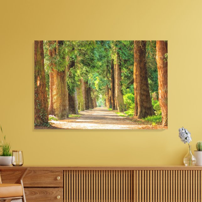 Wunderschöne Allee Redwood Trees Leinwanddruck (Insitu (Wohnzimmer))