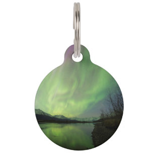 Wunderschöne Aurora Haustiermarke