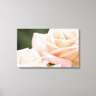 Wunderschöne beige Rose Stretched Canvas Print Leinwanddruck