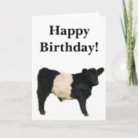 Wunderschöne Belted Galloway Ochsen-ClipArt-Karte