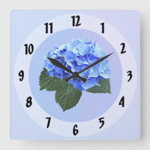 Wunderschöne Blaue Hortensie Quadratische Wanduhr