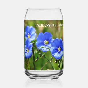 Wunderschöne blaue Wildblumen heben sich gegen grü Dosenglas