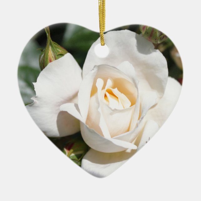 wunderschöne Blume mit weißer Rose. Liebe und Roma Keramikornament (Vorne)