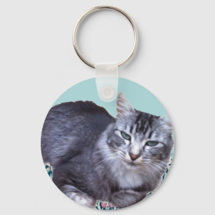 Wunderschöne entspannte Katze   Schlüsselanhänger