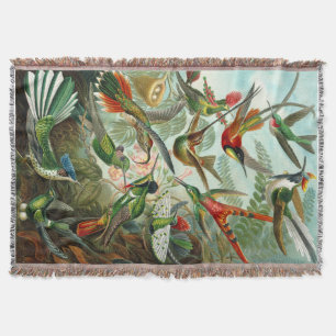 Wunderschöne Ernst Haeckel Kolibris Decke