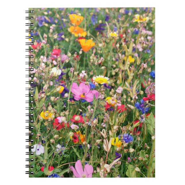 wunderschöne, farbenfrohe Wiese wilder Blume Notizblock (Vorderseite)