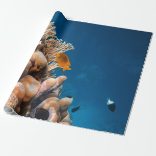 Wunderschöne Fische und Riffe Geschenkpapier