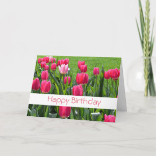 wunderschöne Frühlingsrosatulpenblumen zum Geburts Karte
