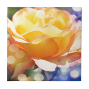 Wunderschöne gelbe Rosenblume. Florale Fotografie. Fliese