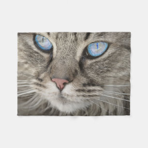 Wunderschöne Katze Nahaufnahme Fleecedecke