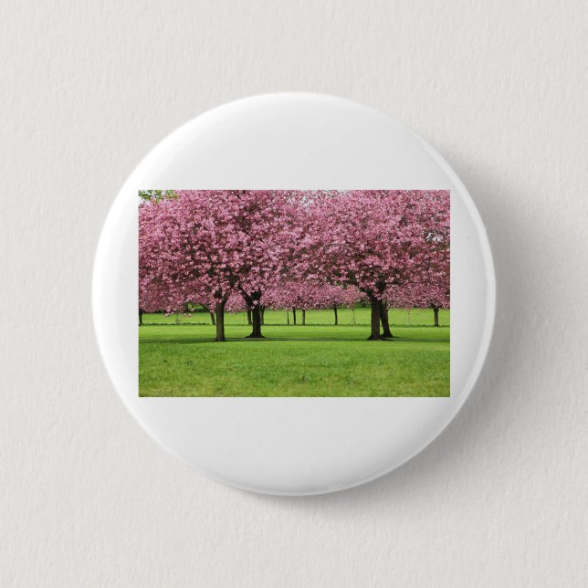 WUNDERSCHÖNE KIRSCHBLÜTEN BUTTON (Vorderseite)