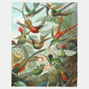 Wunderschöne Kunst Kolibris von Ernst Haeckel Fleecedecke