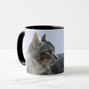 Wunderschöne liegende Katze Tasse