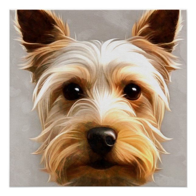 Wunderschöne Niedliche Yorkshire Terrier Welpe Flo Poster (Vorderseite)