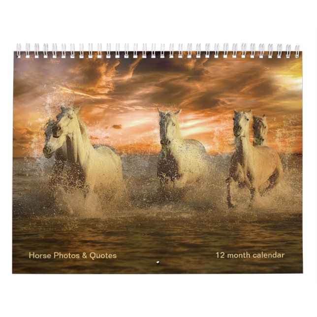 Wunderschöne Pferde & Pferde Quotes 12 Monate Kalender (Titelbild)