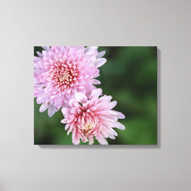 Wunderschöne rosa Blume Gestrichen Canvas Print Leinwanddruck (Vorderseite)