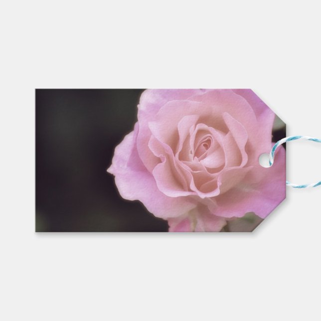 Wunderschöne Rosa Rose Geschenkanhänger (Vorderseite (Horizontal))