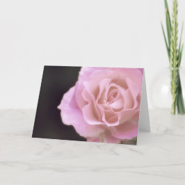 Wunderschöne Rosa Rose Karte